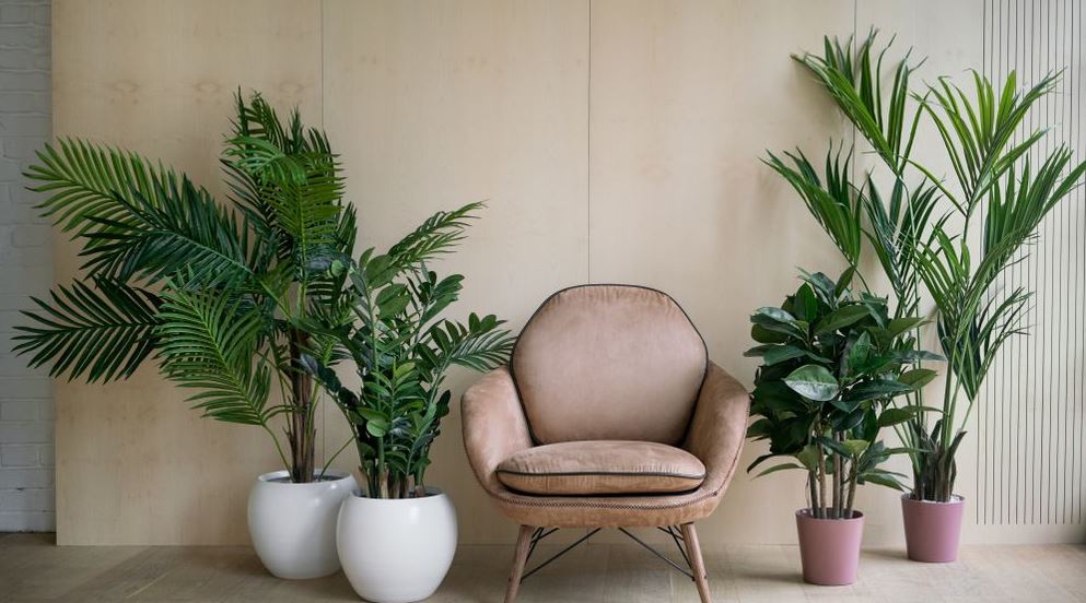 home decor