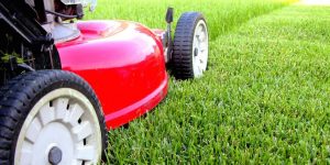 lawn care
