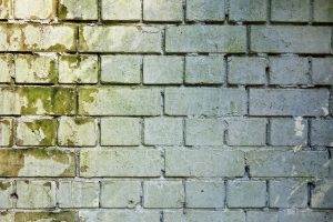 wall