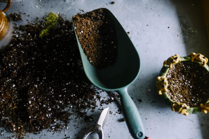 Gardening Tips