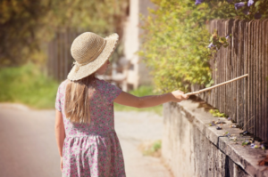 Home Privacy Fence