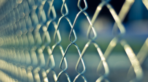 Home Privacy Fence