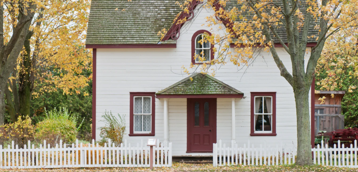 home tree service